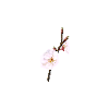 White Cherry Blossom Branch